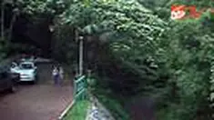 Jika Anda masih bingung mencari lokasi untuk menghabiskan liburan akhir pekan? Mungkin berpetualang di kawasan Taman Nasional Gunung Halimun Salak, Sukabumi, Jawa Barat, dapat menjadi pilihan. Dibalik perjalanan yang cukup menantang, ada banyak kekayaan f