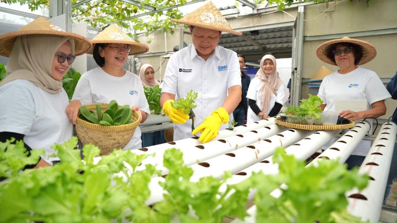 Lewat Program BRInita, Intip Kisah Inspiratif KWT Buaran Citra Lestari Manfaatkan Lahan Sempit untuk Tanaman Produktif
