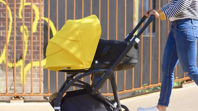 Stroller Bugaboo