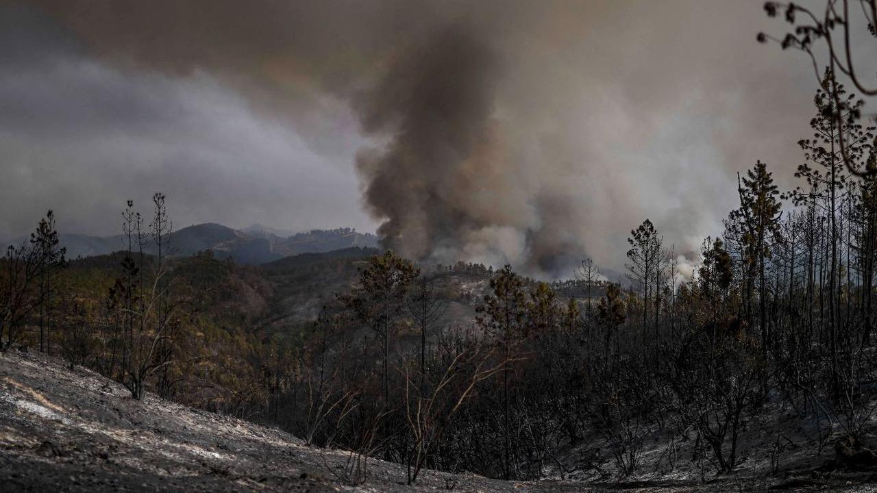 Keadaan lahan hutan di Portugal semakin hangus akibat kebakaran yang disebabkan oleh gelombang suhu panas ekstrem yang masih melanda negara tersebut.