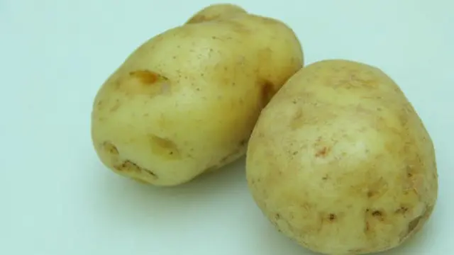  Kentang Pengganti Nasi