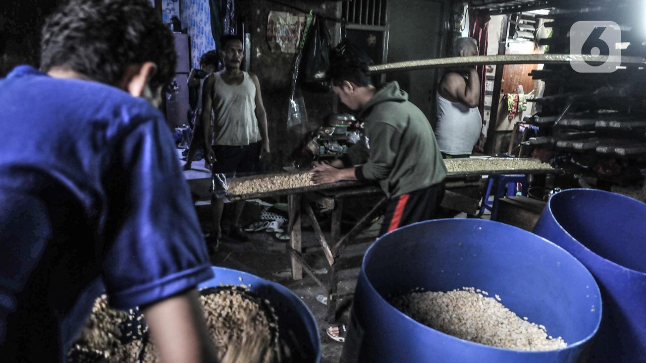 Produksi Tempe Kembali Menggeliat