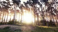 Keren, Foto-Foto Indah Ini Berhasil Tertangkap Google Street View