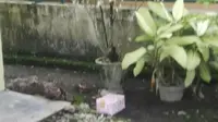 Kotak kado itu diletakkan teronggok di depan rumah seorang purnawirawan TNI. (Liputan6.com/Reza Perdana)