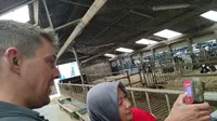 Peternak Belanda berbagi ilmu dengan peternak Indonesia untuk wujudkan swasembada susu di Indonesia. (Istimewa)