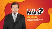 Kata Pakar: Fenomena Banjir di Indonesia, Penyebab dan Solusi Penanganannya