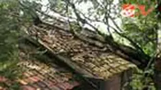 liputan6