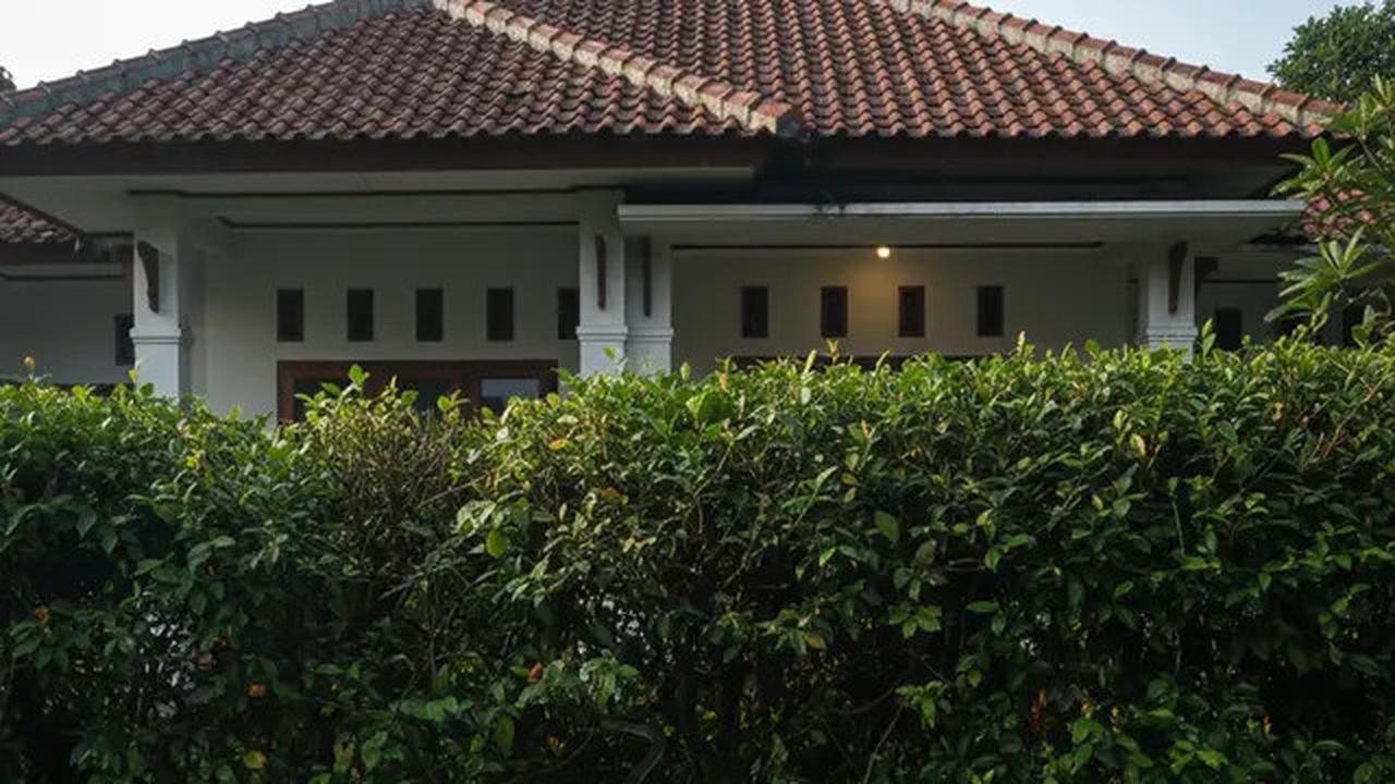 7 Jenis Pagar Tanaman yang Menarik Ular Kobra