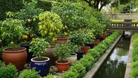 10 Inspirasi Kebun Buah Mini di Area Dekat Saluran Air, Maksimalkan Ruang Sisa