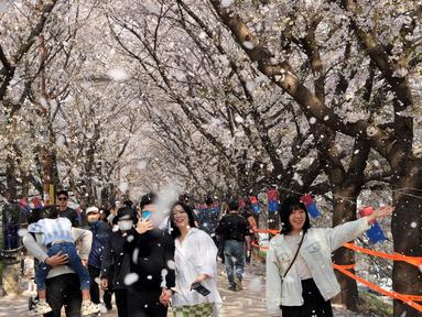 Orang-orang berjalan-jalan di bawah bunga sakura yang mekar penuh di sebuah taman di Seoul, Korea Selatan, 2 April 2023. (AP Photo/Ahn Young-joon)