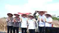Panen Raya Jagung Serentak Kuartal III di Desa Sabahlioh, OKU Timur, Sumatera Selatan