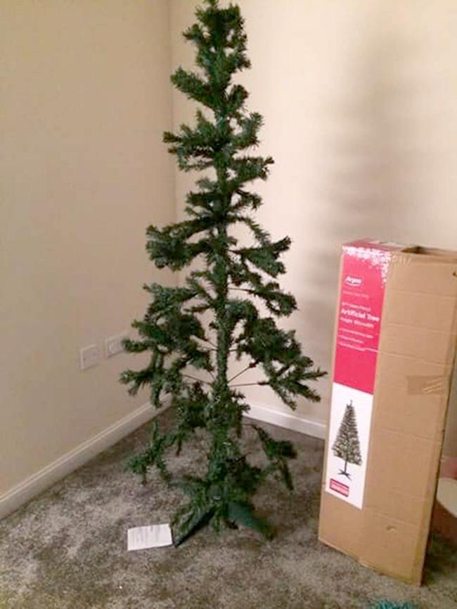 Pohon Natal yang dibeli Zoe McAllister tidak sesuai dengan gambar di iklan | Photo: Copyright metro.co.uk