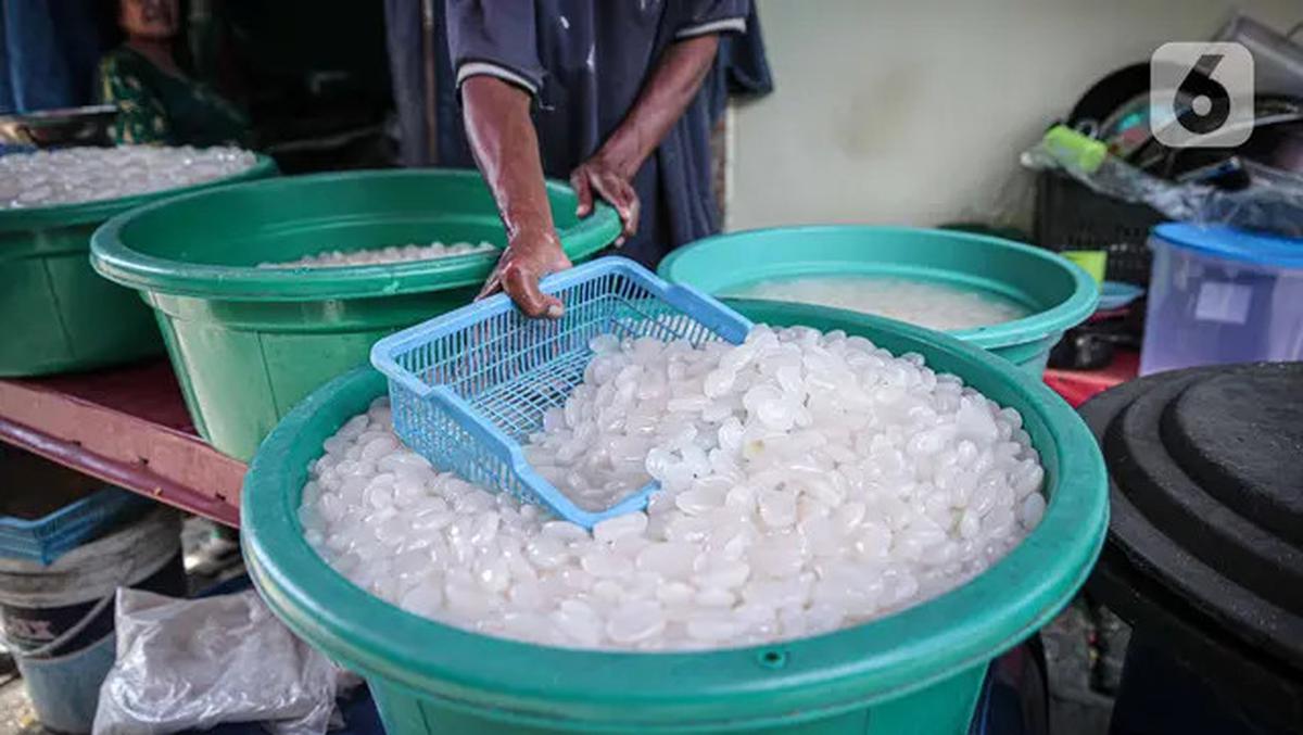 Manfaat Kolang-Kaling Rahasia Sehat Turunkan Kolesterol dan Asam Urat