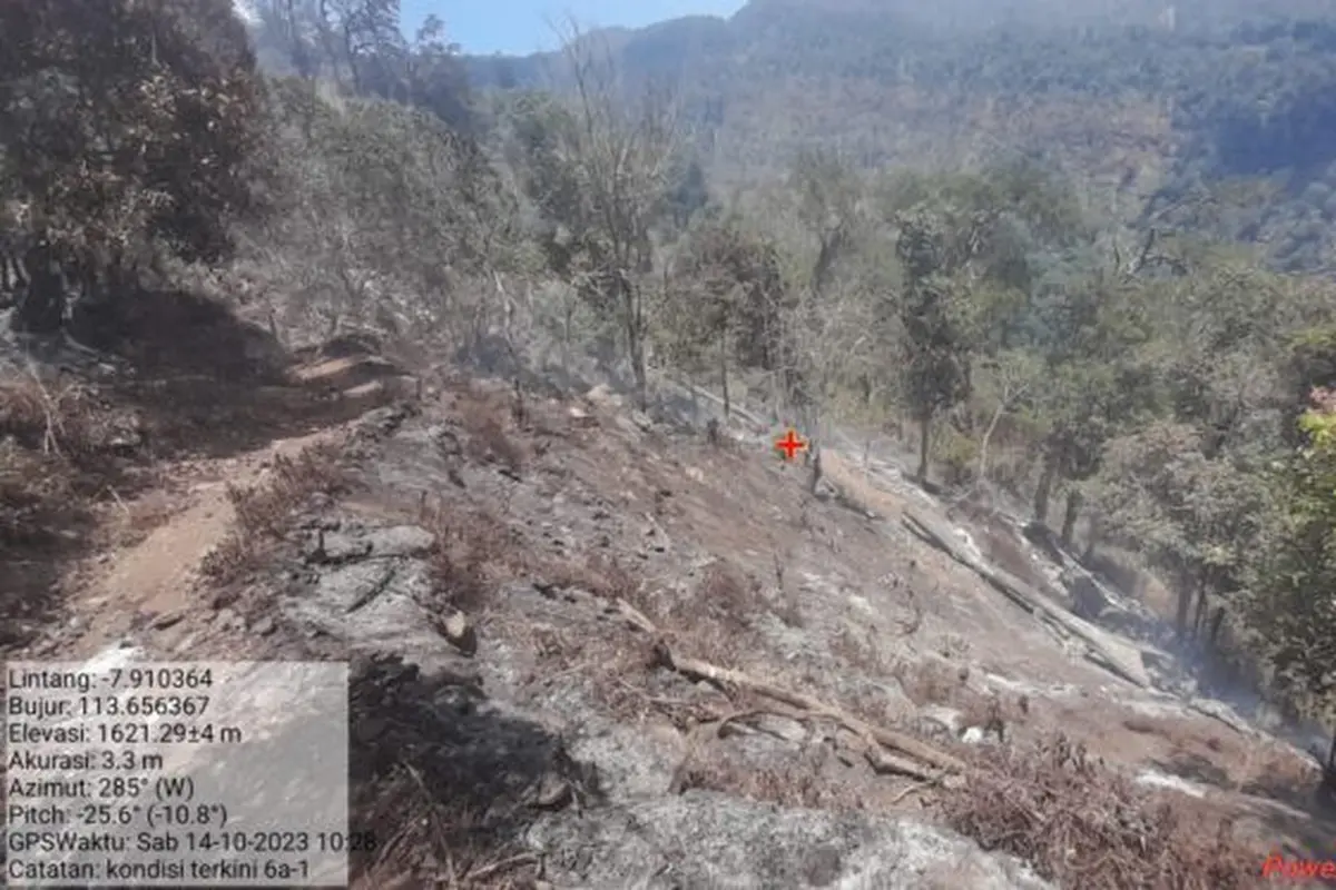 Gunung Argopuro segera dibuka kembali untuk kegiatan wisata alam, pendakian, dan penelitian mulai 1 Mei 2024, melalui pintu Baderan. (Istimewa)