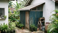 8 Ide Gudang Kecil di Belakang Rumah Kampung Rapi dan Murah dari Bahan Terjangkau