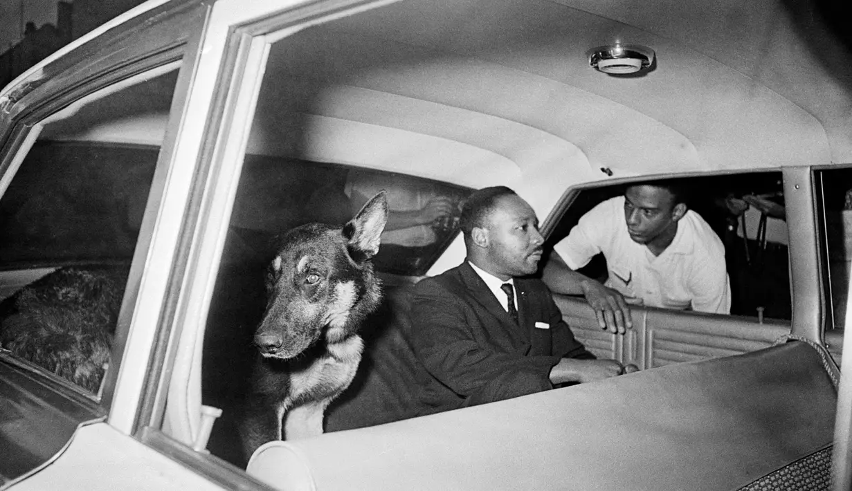 Martin Luther King berbicara dengan Andrew Young saat kembali ke penjara di St. Augustine, Florida, 12 Juni 1964. Martin Luther King meninggal di usia yang cukup muda yakni 39 tahun. (AP Photo/File)