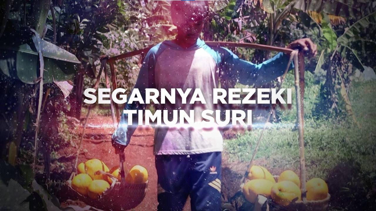 Berani Berubah: Panen Rezeki dari Timun Suri