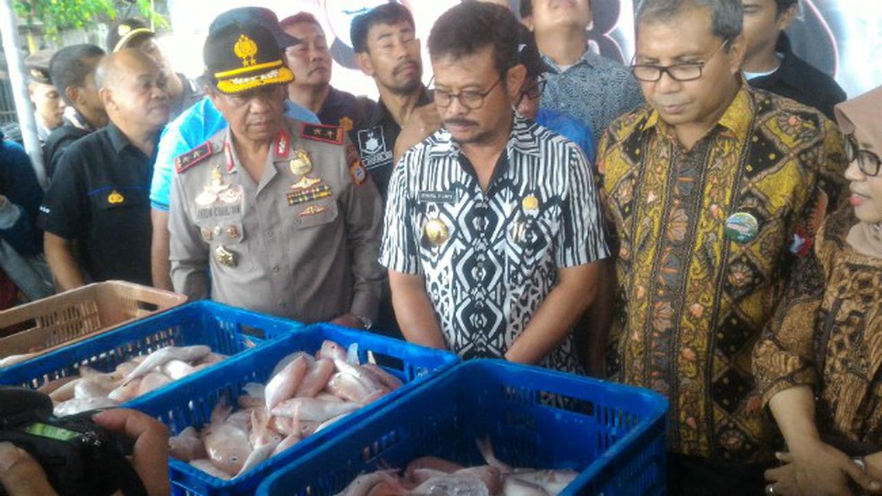 Ikan Berformalin di Makassar