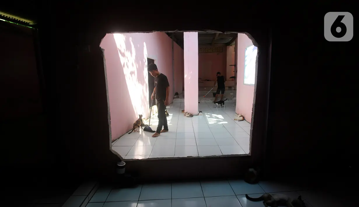 Sepekan bagian gudang RSC mengalami kebakaran, RSC saat ini menampung lebih dari 1500 kucing jalanan dan 20 ekor anjing dengan biaya perawatan dan pemeliharaan tiap bulan mencapai Rp 90 juta. (merdeka.com/Arie Basuki)