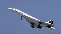 Concorde (Wikimedia Commons)