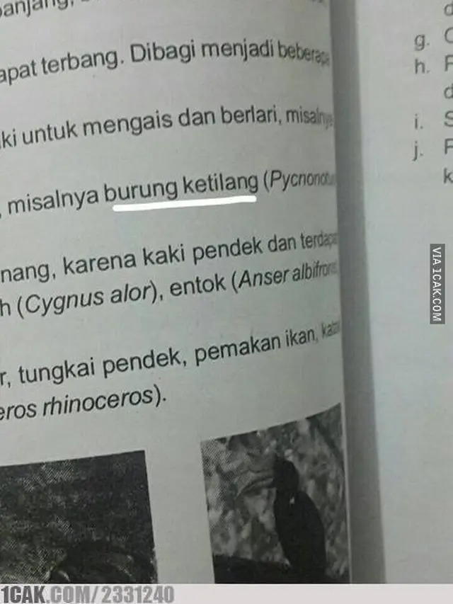 6 Tulisan Typo di Soal Ujian Siswa Ini Nyeleneh, Maknanya Jadi Berbeda