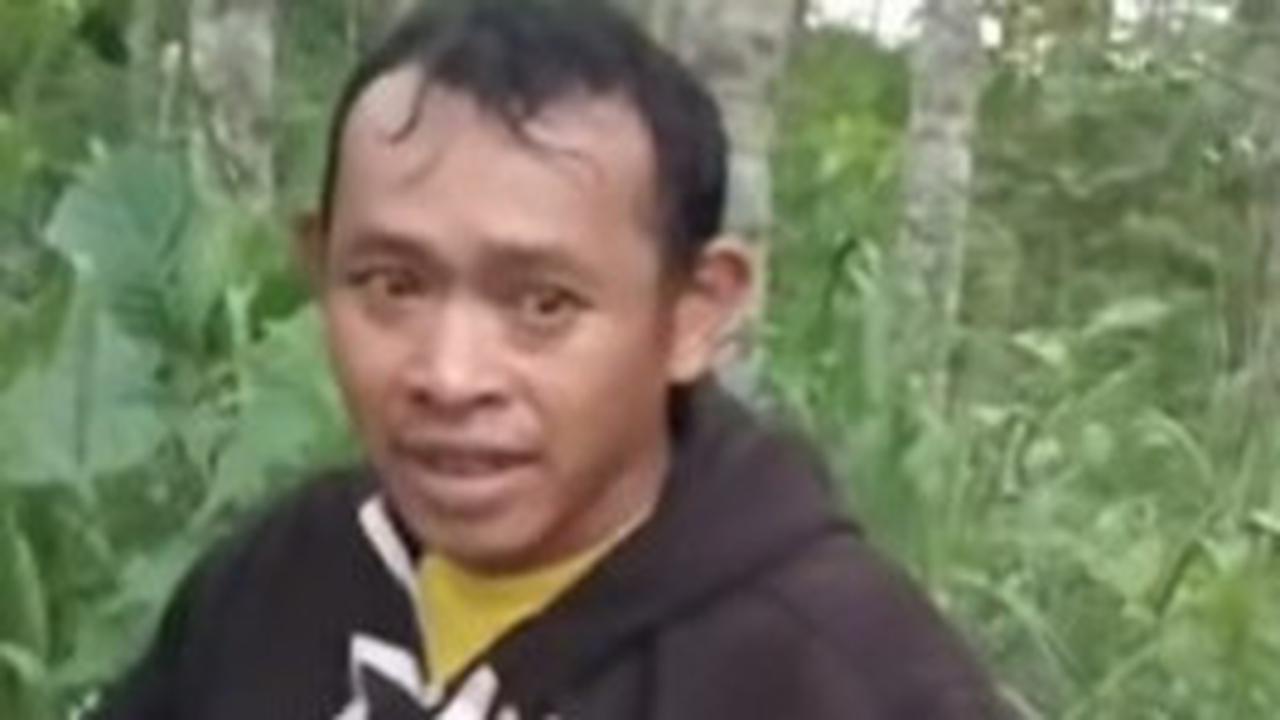 Tomat Dicuri Seorang Pemuda, Hati Tak Terluka: Kisah Pemilik Kebun yang Penuh Empati