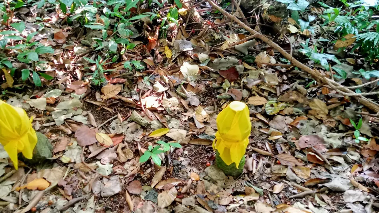 makam keramat pulau rempang