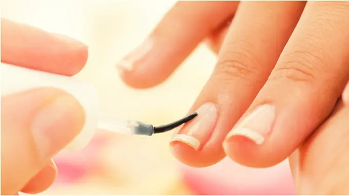 Courtesy ShutterStock.com