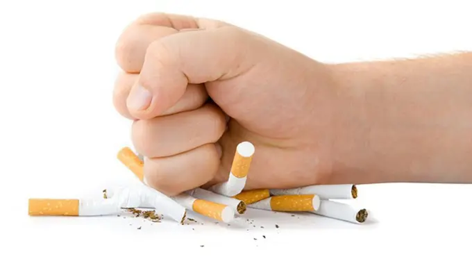 Foto: copyright by shutterstock.com