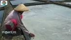 Pemilik ladang garam saat ini bisa dijual dengan harga Rp 5.000 per kilogramnya.