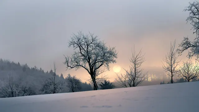 Pilih Waktu atau Musim yang Ramah untuk Anak