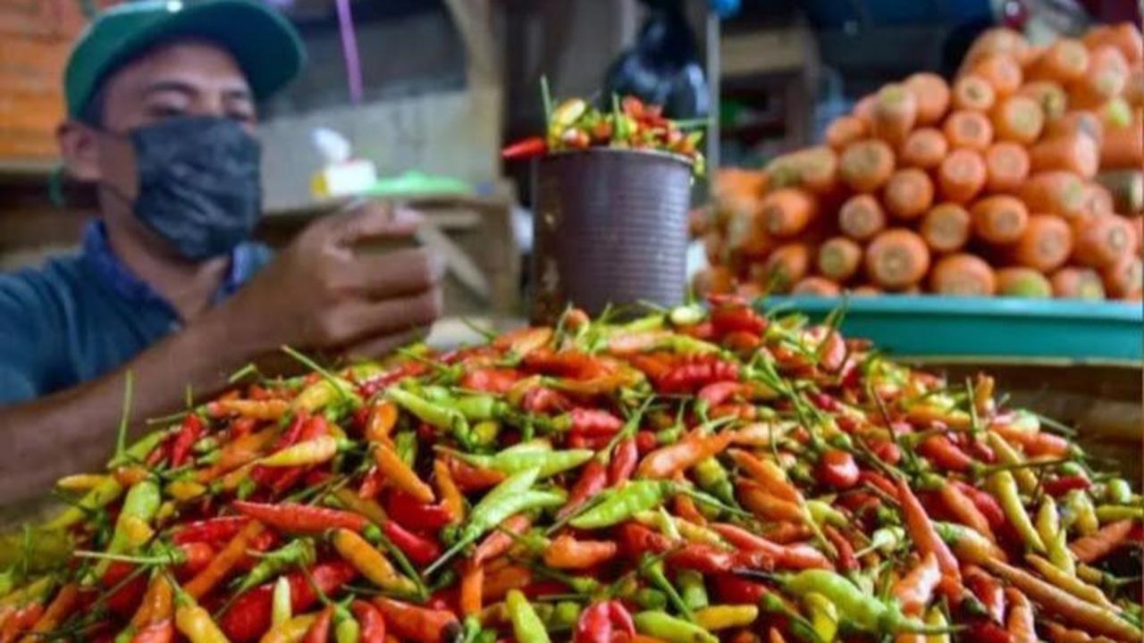 Biang Kerok Harga Cabai Rawit Naik Drastis Saat Ramadan 2025