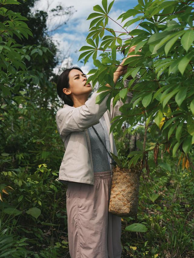 7 Potret Petualangan Maudy Ayunda di Sintang, Seru Panen Singkong