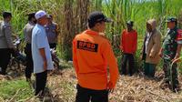 Petugas BPBD Situbondo dibantu warga  mencari lansia yang hilang di kebun tebu (Istimewa)