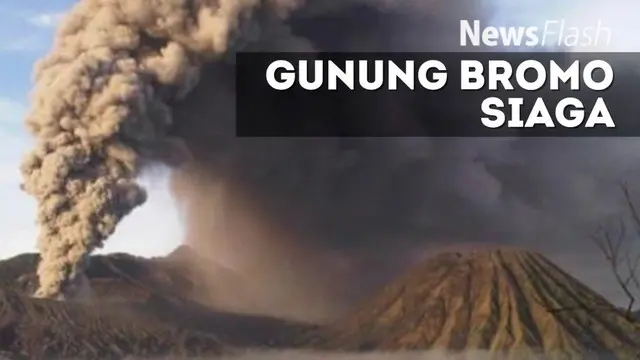 Hilangnya alat pemantau itu menyebabkan proses pemantauan aktivitas Gunung Bromo yang menggunakan metode deformasi dan geokimia tidak dapat dilakukan. 