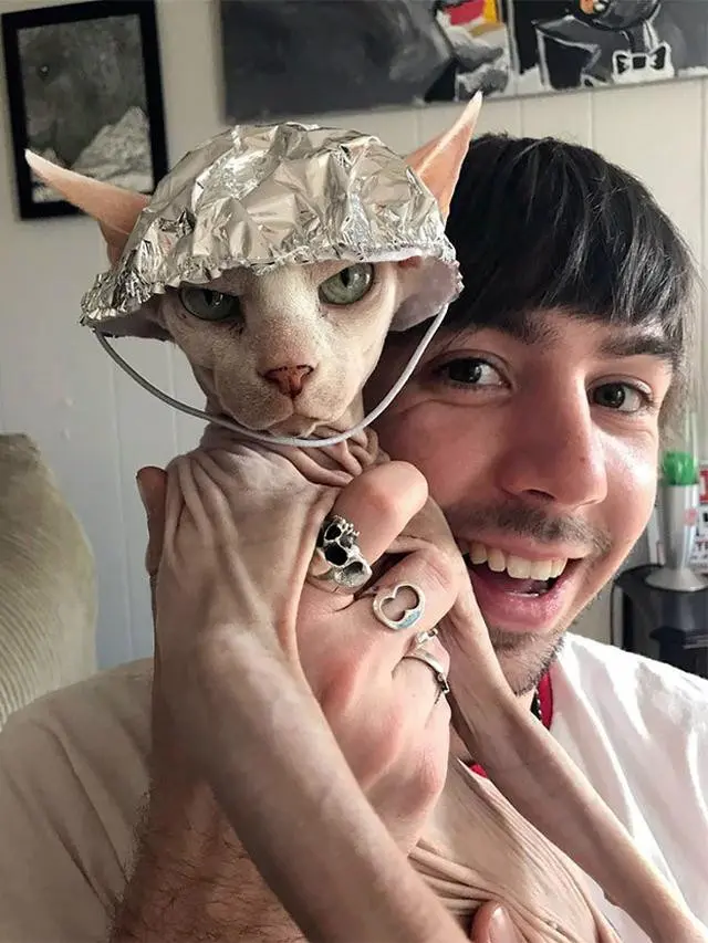 6 Potret Kucing Pakai Topi Ini Bikin Gemas, Lucu Banget
