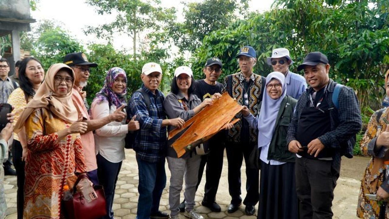 Bapanas Perkuat Posisi Kayu Manis Indonesia di Pasar Global Melalui Standar Codex