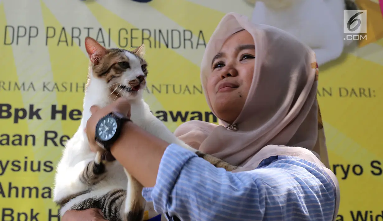 Bandi pemenang kucing mirip Bobby The Cat milik capres Prabowo Subianto saat mengikuti lomba di DPP Partai Gerindra, Jakarta, Sabtu (9/3). Lomba ini sekaligus untuk sosialisasi adopsi kucing liar. (Liputan6.com/Herman Zakharia)