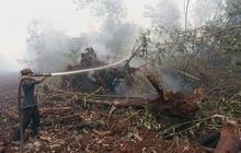 Rp 500 miliar lebih uang negara sudah habis ditelan kabut asap