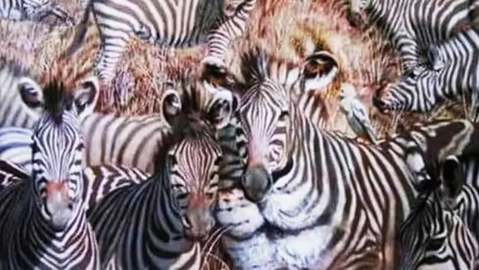 [BIntang] Apa Hewan Pertama yang Kamu Lihat? Temukan Jawabannya di Sini!