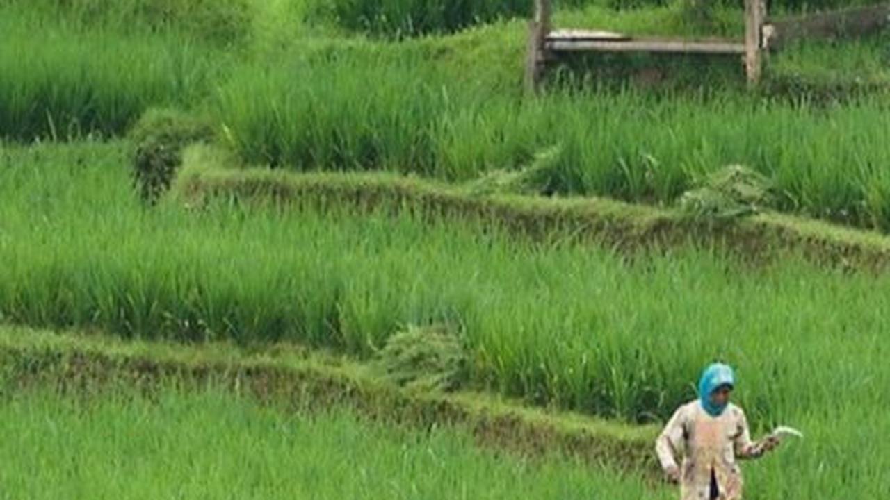 1.	Negara Terbesar di Asia Tenggara