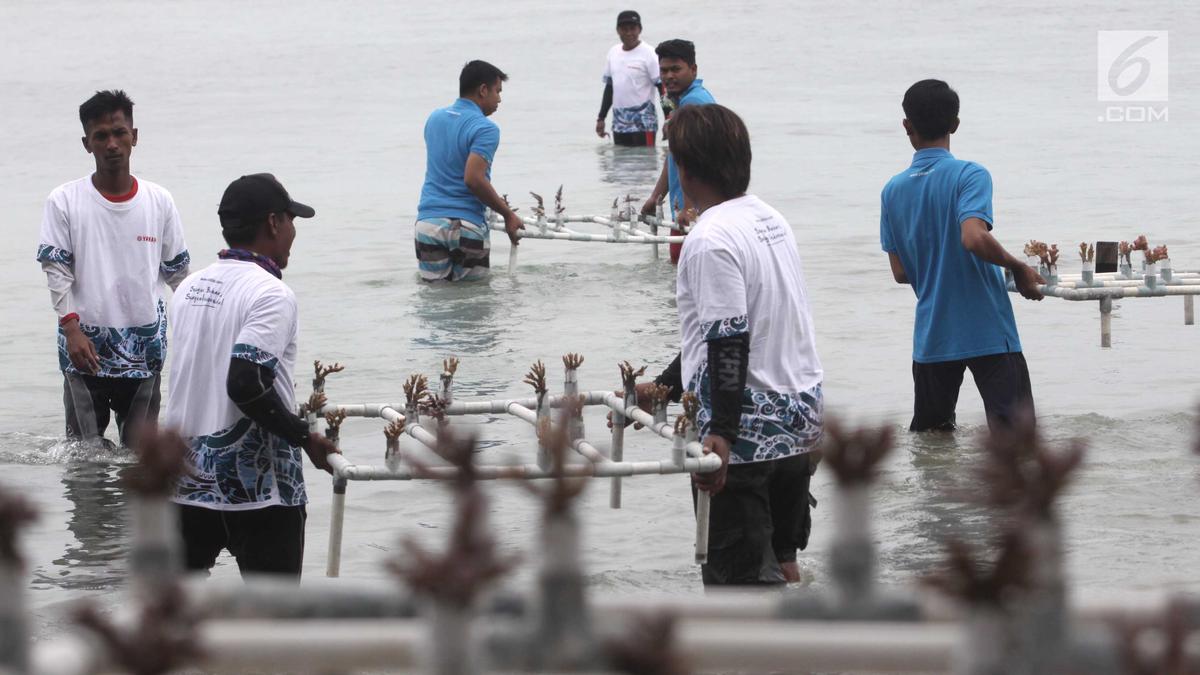 Pemulihan Ekosistem Laut untuk Perkuat Ekonomi Masyarakat Pesisir