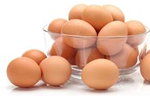 Tips Menjaga Telur Tetap Segar dan Higienis Tanpa Cuci, Solusi Simpel