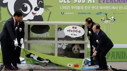 Petugas saat mengangku kandang berisi Panda bernama Aibao  dalam acara penyambutan sepasang panda yang berasal dari Cina di Bandara Internasional Incheon, Korea Selatan , (3/3). (REUTERS / Ha Sa - hyun)