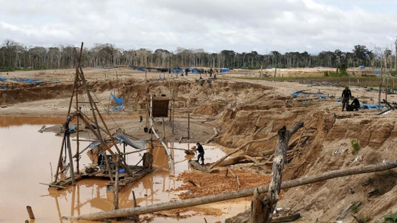 Kamp dibakar polisi, penambang liar di Peru tinggalkan Hutan Amazon