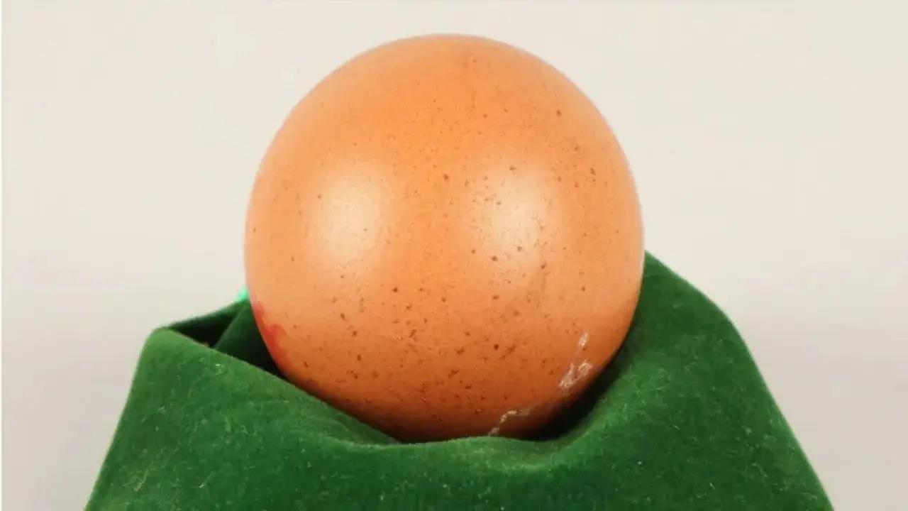 Telur Ayam Bulat Sempurna