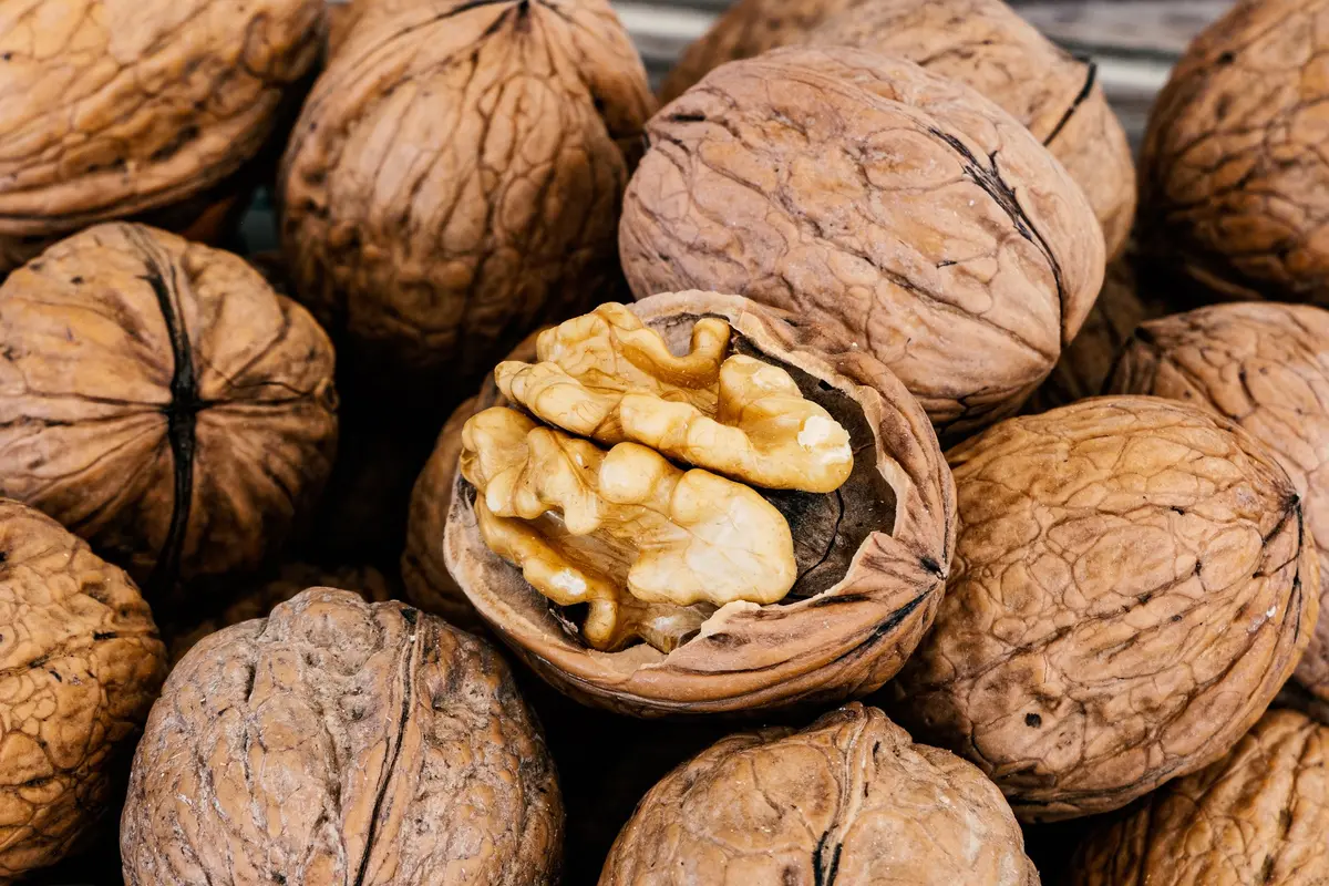 Kacang Kenari