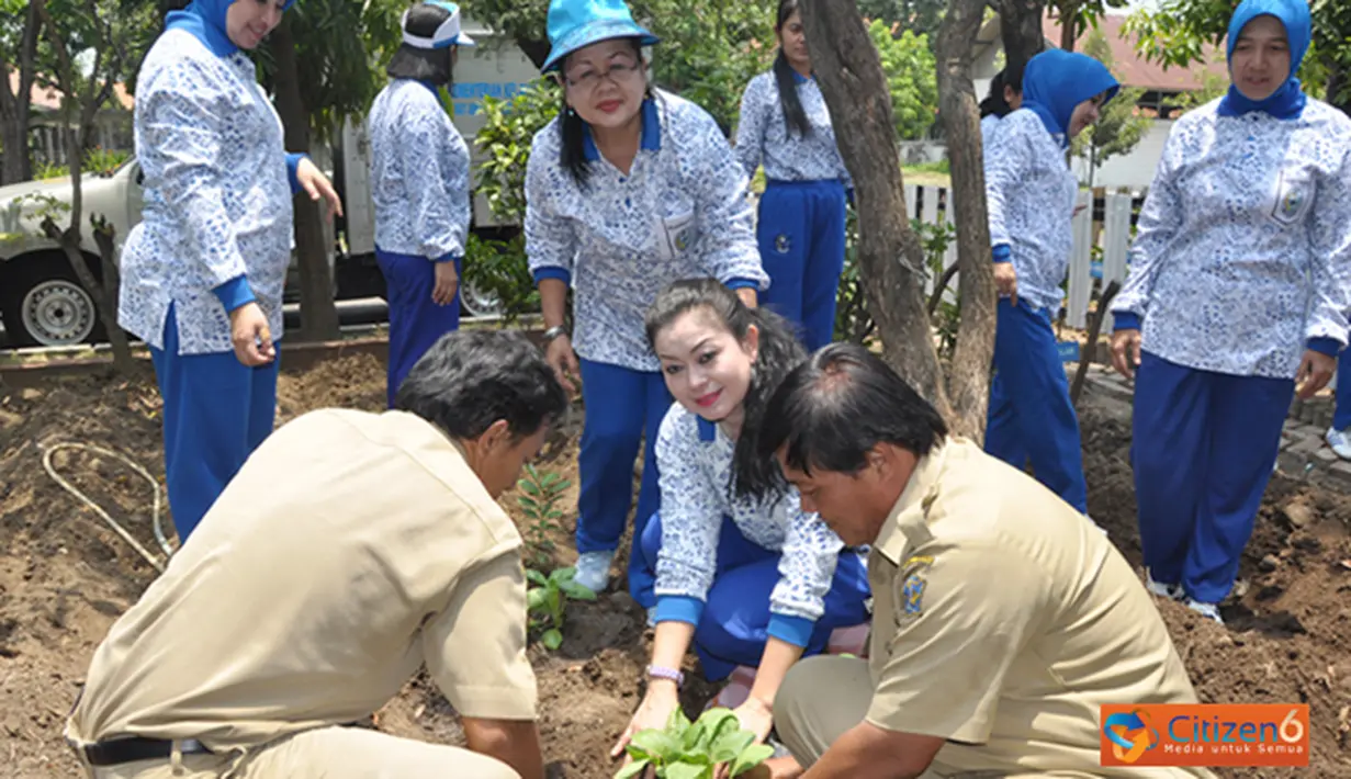 Citizen6, Surabaya: Realisasi program tersebut, PG Jalasenastri Kobangdikal bekerjasama dengan Dinas Pertanian Kota Surabaya terutama dalam hal bantuan penyiapan bibit tanaman Toga. (Pengirim: Penkobangdikal).