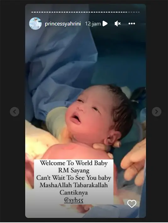Aisyahrani (Instagram/princessyahrini)