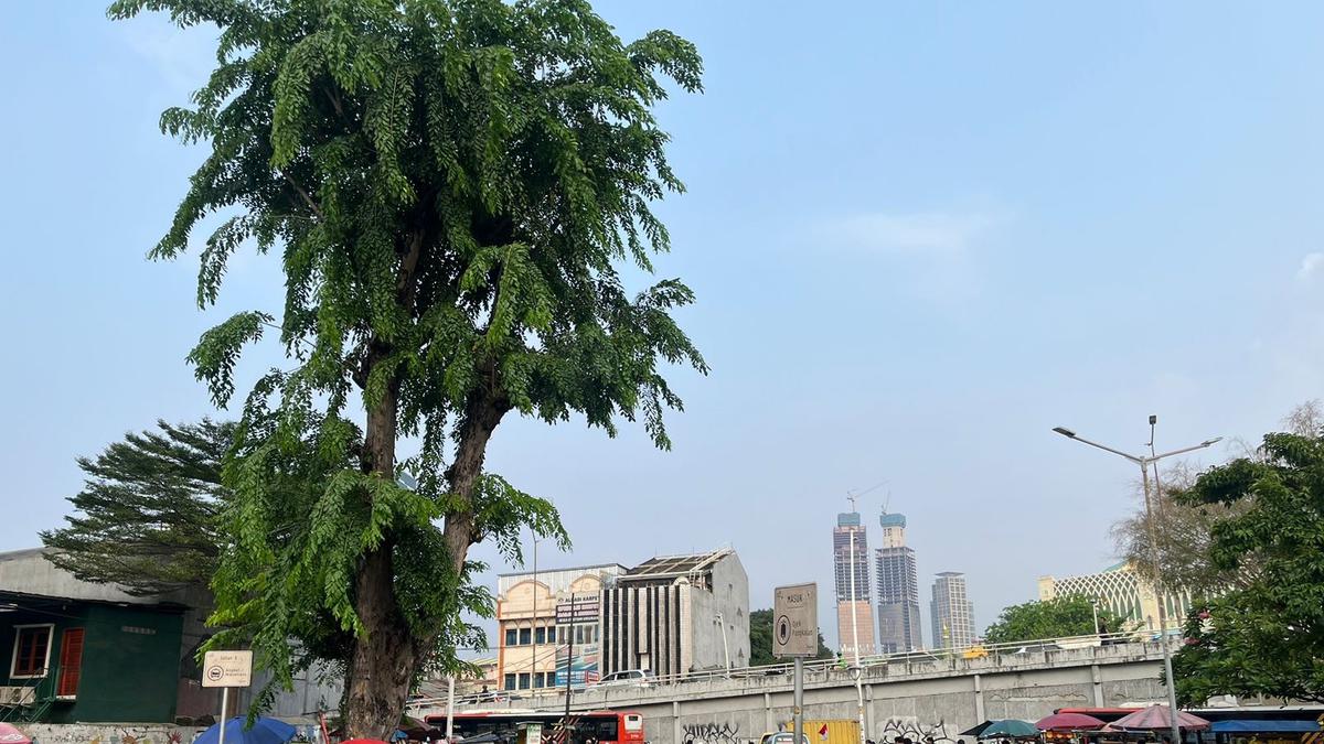 Demo 25 Agustus di DPR Ricuh, Perjalanan KRL Tanah Abang-Rangkasbitung Terganggu